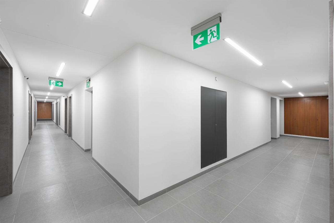 Native Apartments Rajska 3 Krakow Dış mekan fotoğraf